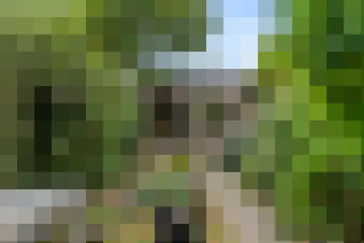 Sterkenburg 182 Ede thumbnail 27