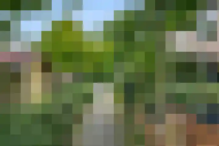Sterkenburg 182 Ede thumbnail 31