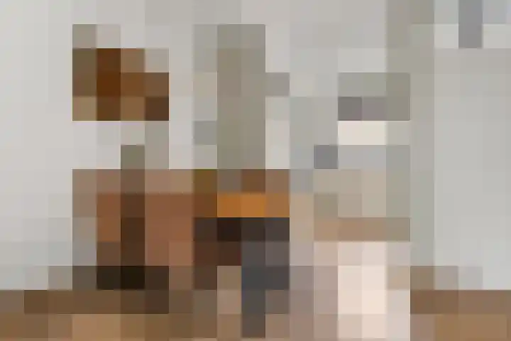 Sterkenburg 182 Ede thumbnail 7