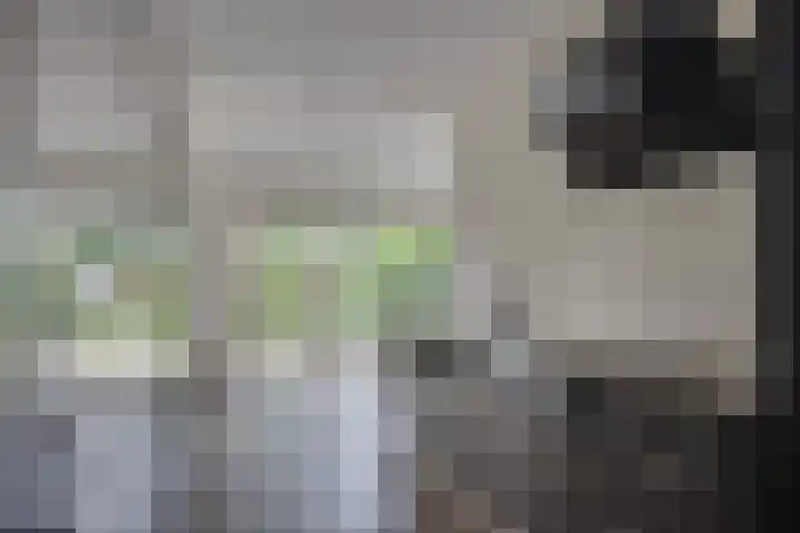 Sterkenburg 2 Leusden thumbnail 13