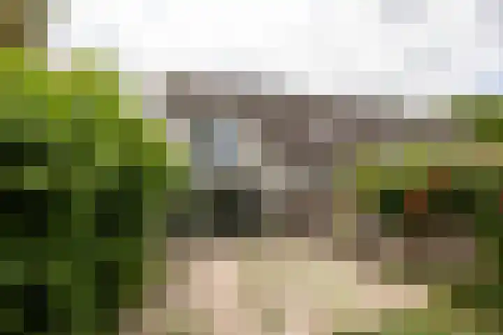 Sterkenburg 2 Leusden thumbnail 31