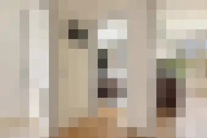 Sterkenburg 23 Amsterdam thumbnail 15