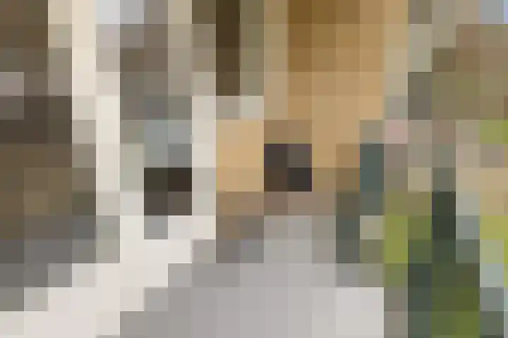 Sterkenburg 23 Amsterdam thumbnail 28