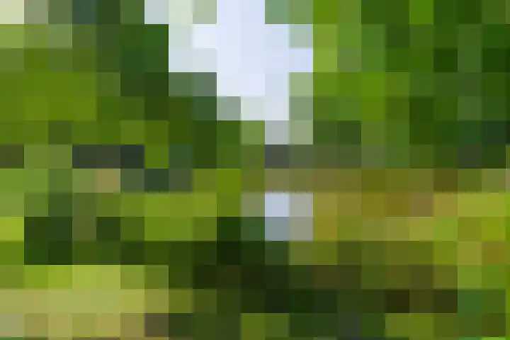 Sterkenburg 23 Amsterdam thumbnail 31