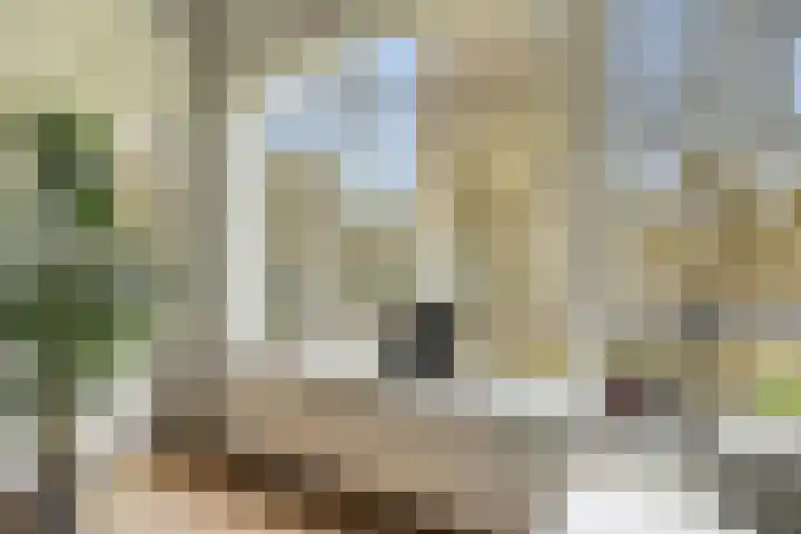 Sterkenburg 23 Amsterdam thumbnail 8