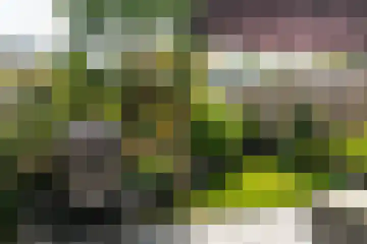 Sterkenburg 3 Leusden thumbnail 20