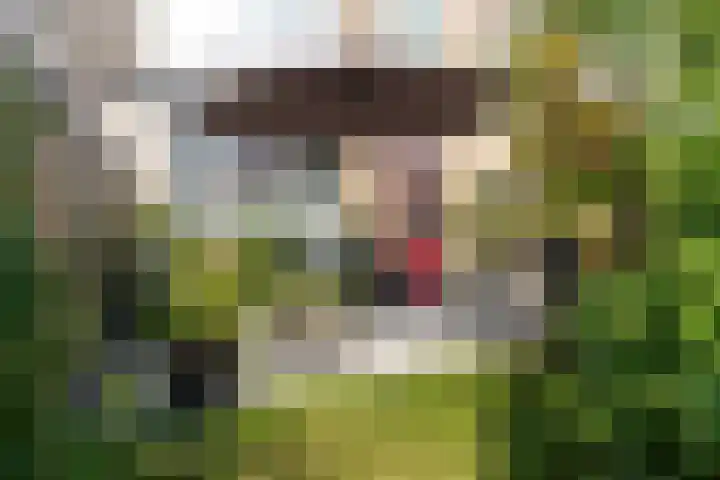 Sterkenburg 3 Leusden thumbnail 22