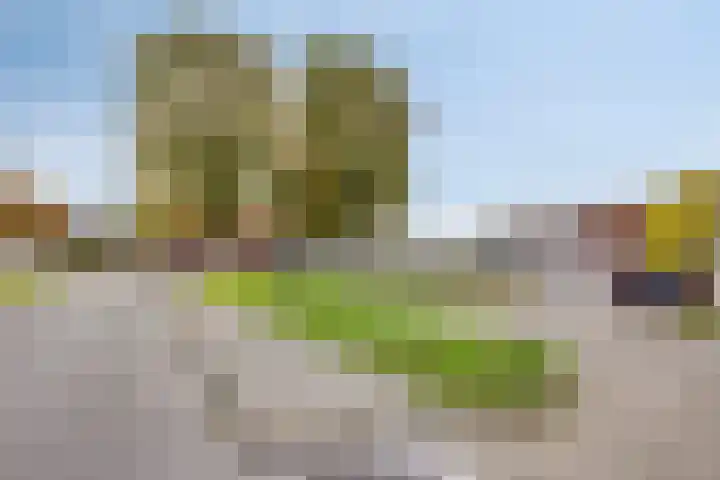 Sterkenburg 31 Vlissingen thumbnail 22