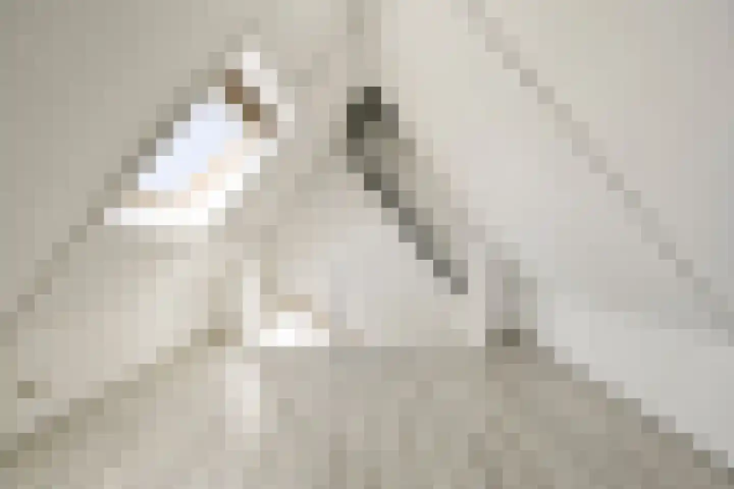 Sterkenburg 34 Amstelveen thumbnail 30