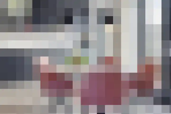 Sterkenburg 390 Eindhoven thumbnail 13