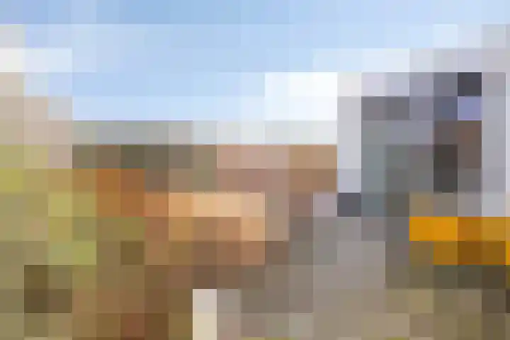 Sterkenburg 390 Eindhoven thumbnail 39