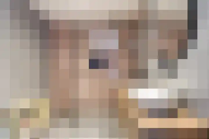 Sterkenburg 390 Eindhoven thumbnail 5