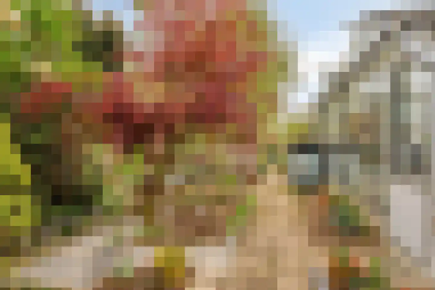 Sterkenburg 400 Eindhoven thumbnail 27