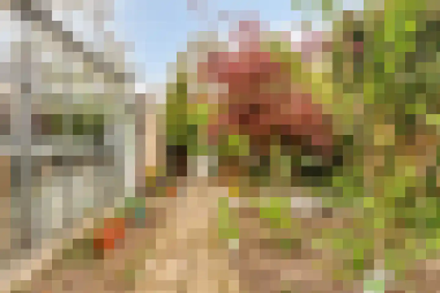 Sterkenburg 400 Eindhoven thumbnail 29
