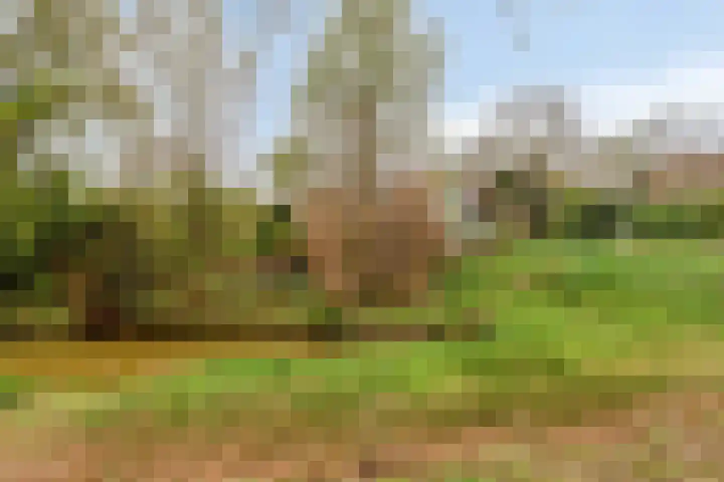 Sterkenburg 400 Eindhoven thumbnail 34