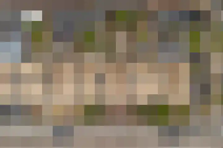 Sterkenburg 41 Ede thumbnail 24