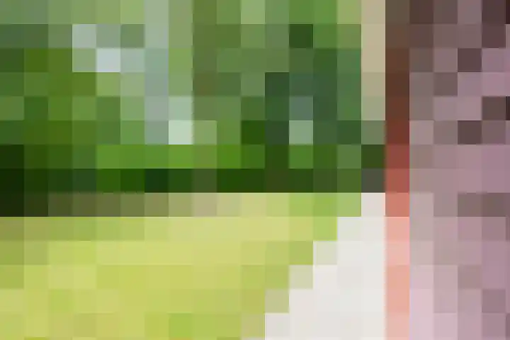 Sterkenburg 53 09 Eindhoven thumbnail 17