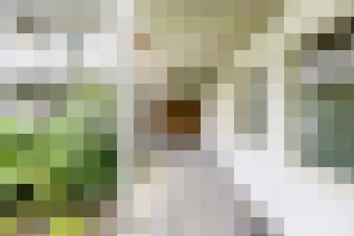 Sterkenburg 53 09 Eindhoven thumbnail 26