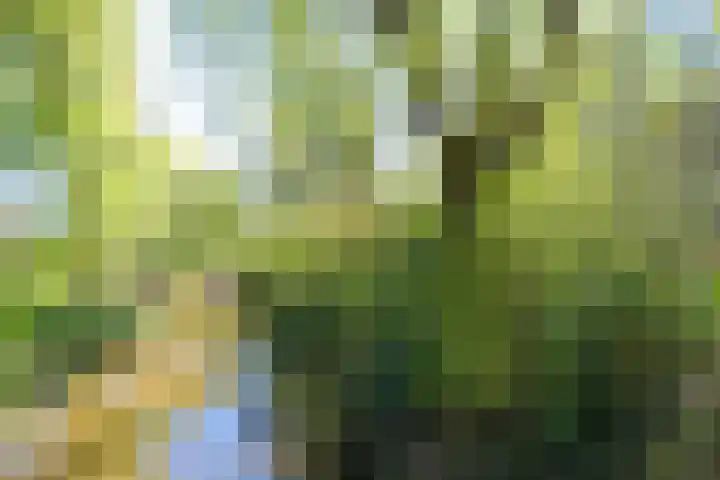Sterkenburg 53 09 Eindhoven thumbnail 29