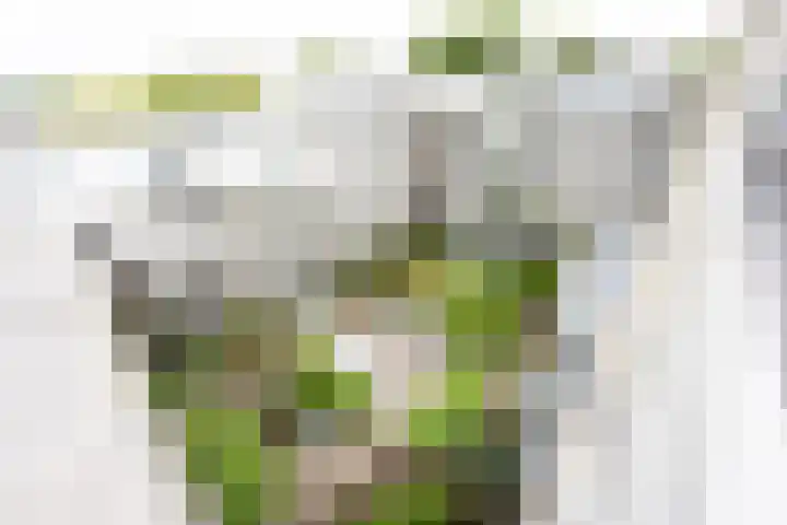 Sterkenburg 53 09 Eindhoven thumbnail 4