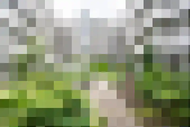 Sterkenburg 53 09 Eindhoven thumbnail 7