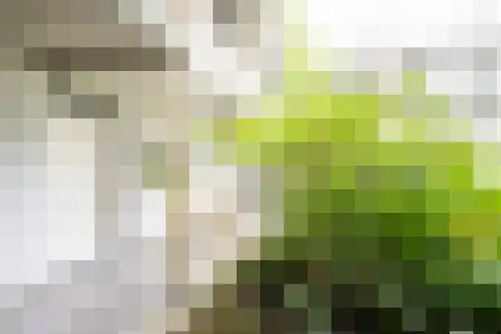 Sterkenburg 53 09 Eindhoven thumbnail 8