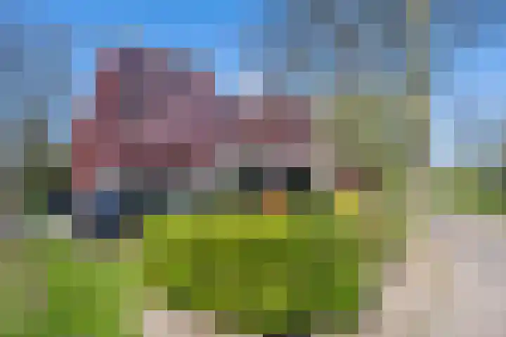 Sterkenburg 53 103 Eindhoven thumbnail 28
