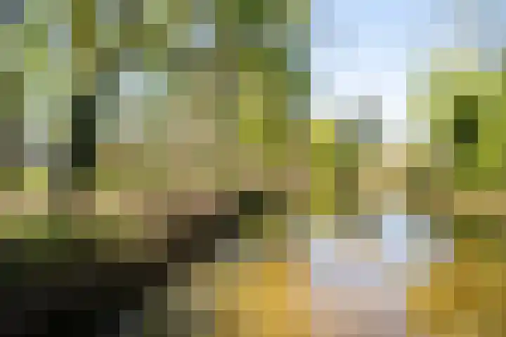 Sterkenburg 53 103 Eindhoven thumbnail 29