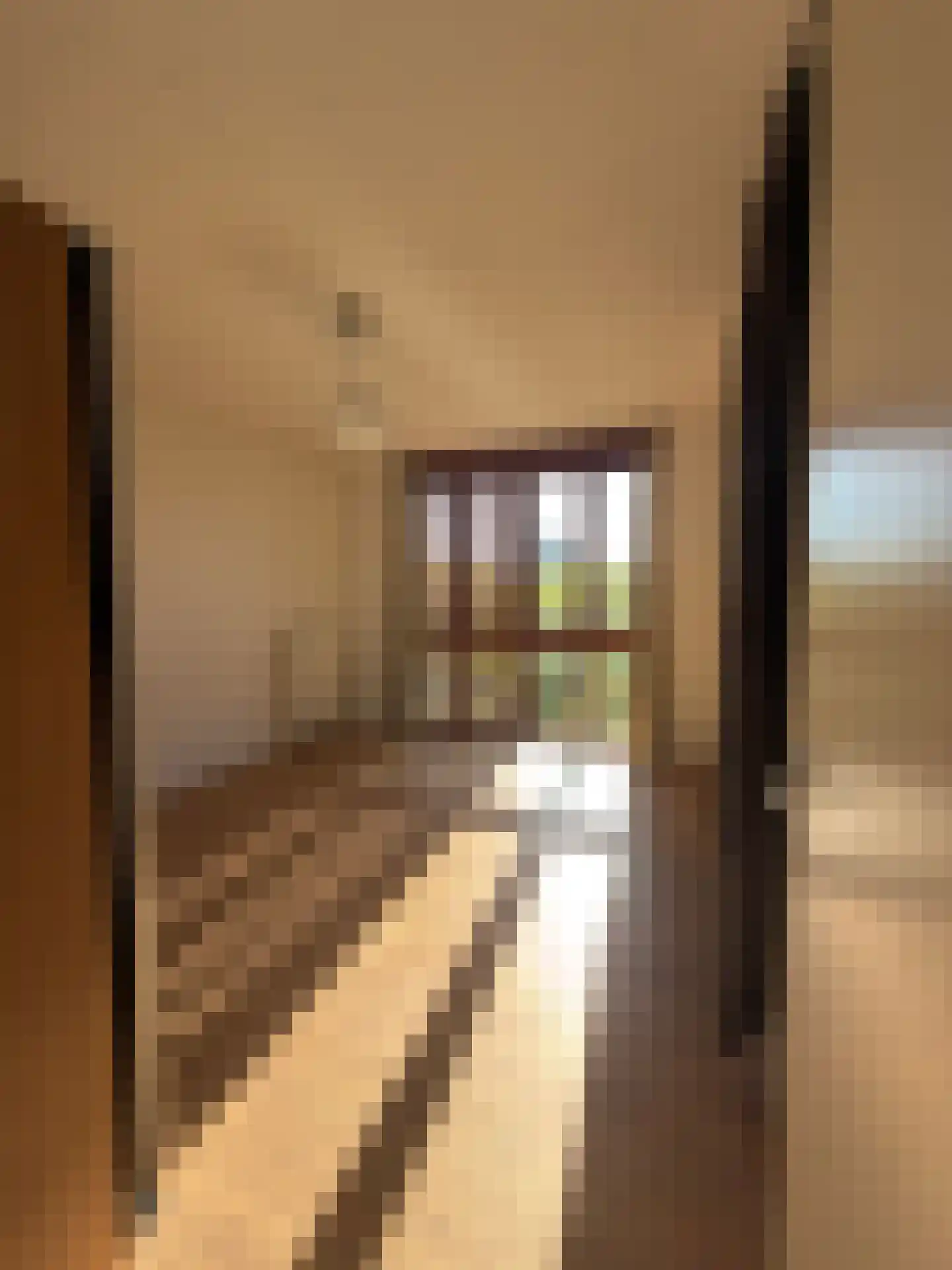 Sterkenburg 53 117 Eindhoven thumbnail 22