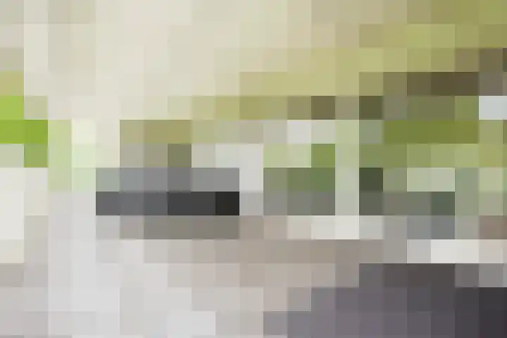 Sterkenburg 53 119 Eindhoven thumbnail 13