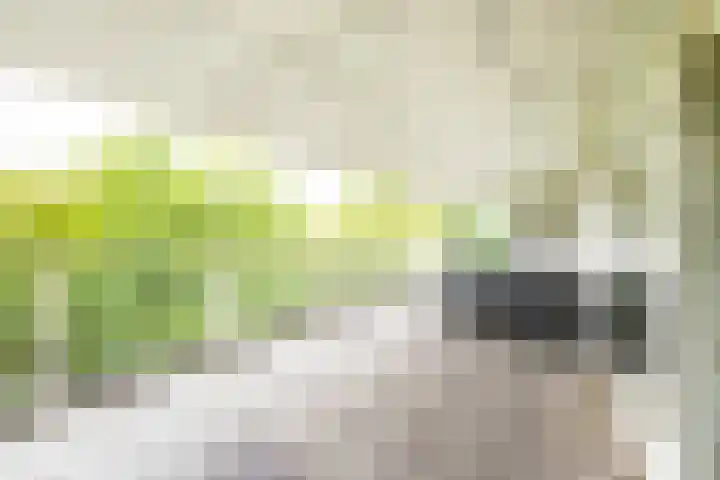 Sterkenburg 53 119 Eindhoven thumbnail 14