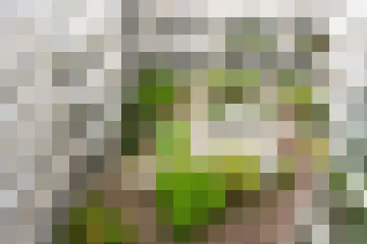 Sterkenburg 53 119 Eindhoven thumbnail 25