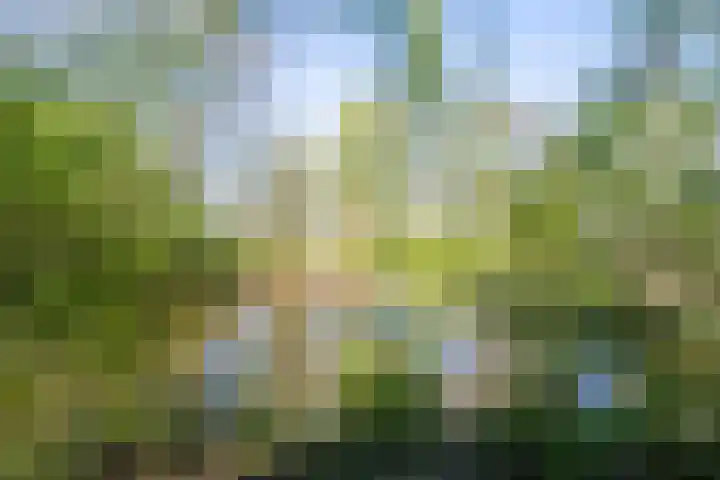 Sterkenburg 53 119 Eindhoven thumbnail 29