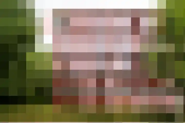 Sterkenburg 53 119 Eindhoven thumbnail 4
