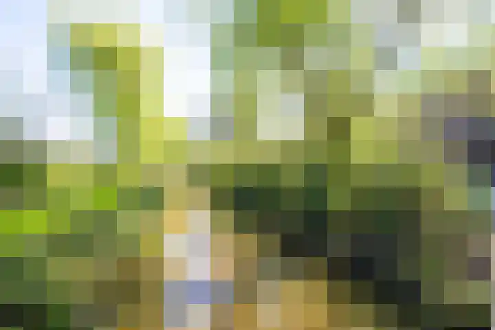 Sterkenburg 53 17 Eindhoven thumbnail 25