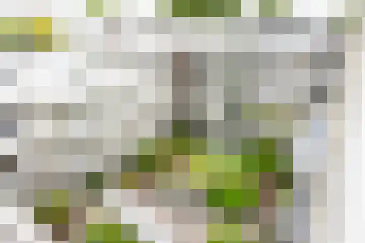 Sterkenburg 53 17 Eindhoven thumbnail 4