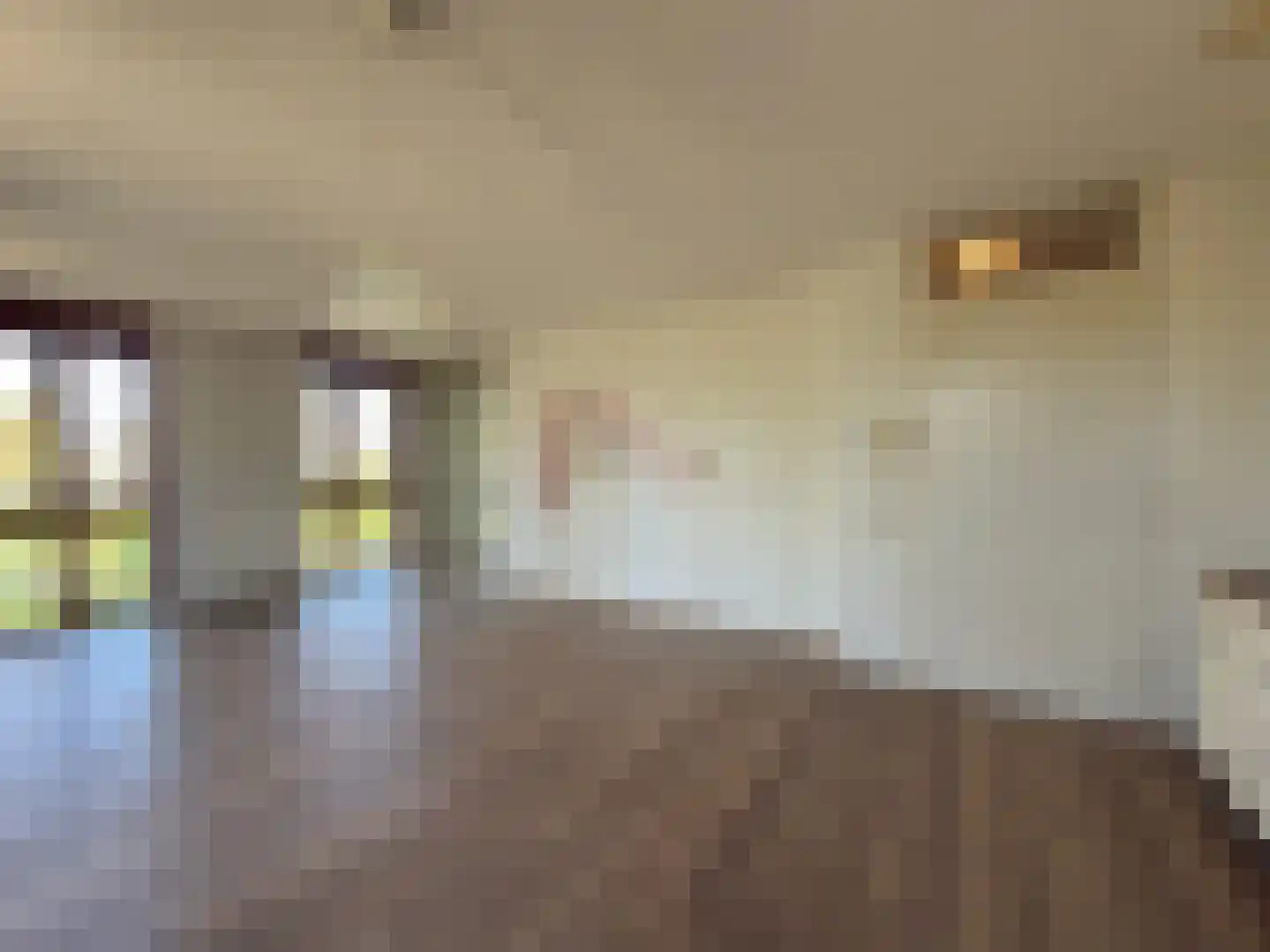 Sterkenburg 53 45 Eindhoven thumbnail 7