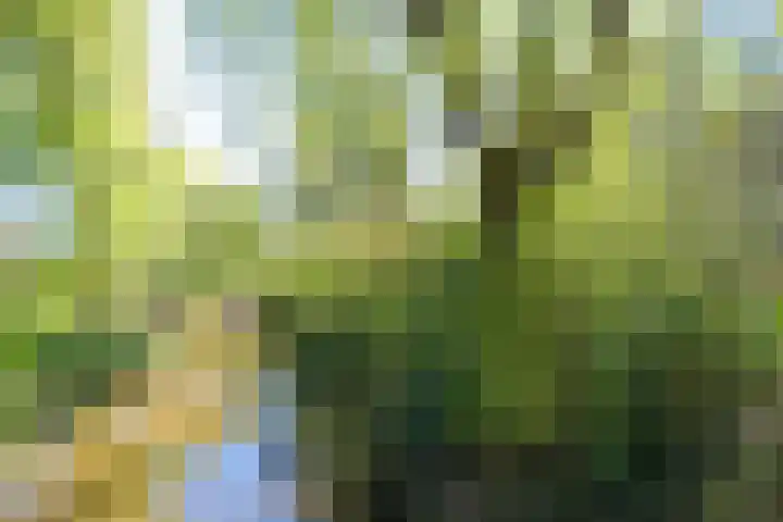 Sterkenburg 53 73 Eindhoven thumbnail 32