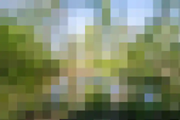 Sterkenburg 53 73 Eindhoven thumbnail 4