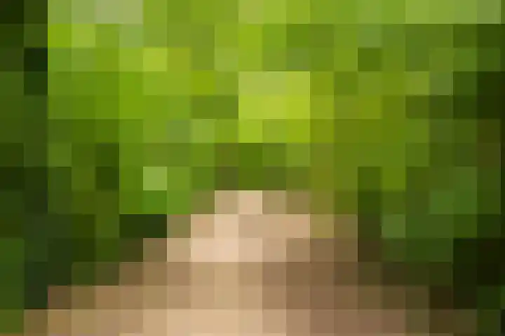 Sterkenburg 53 75 Eindhoven thumbnail 28