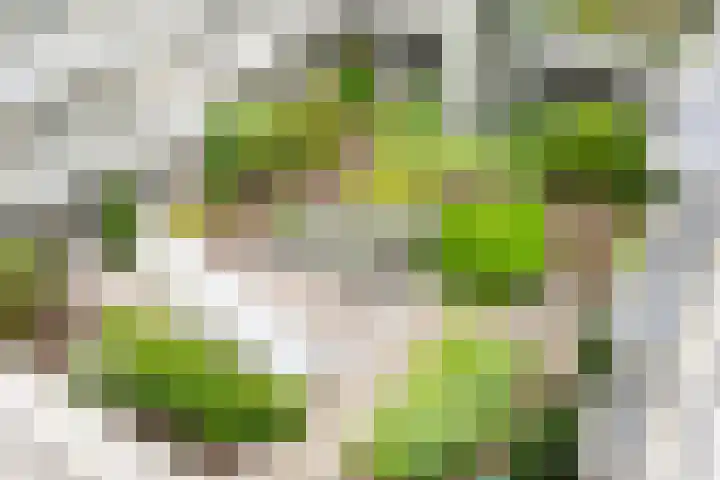 Sterkenburg 53 79 Eindhoven thumbnail 25