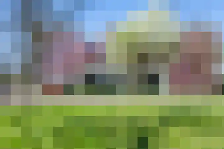 Sterkenburg 53 79 Eindhoven thumbnail 29