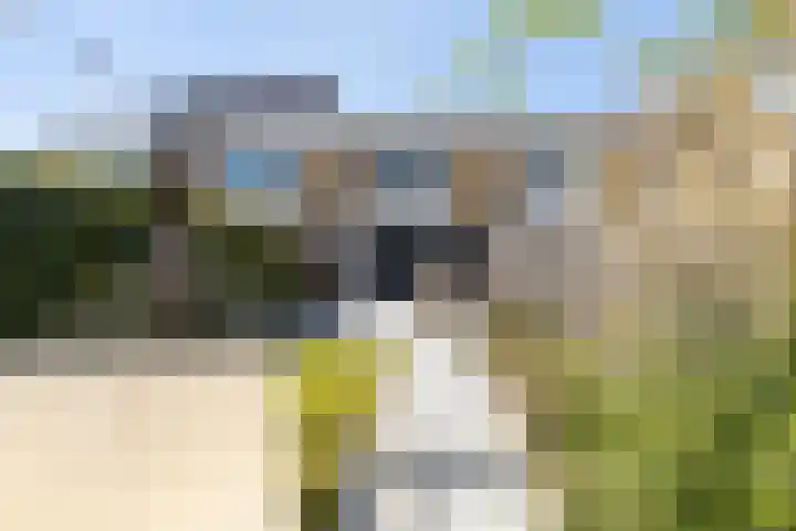 Sterkenburg 6 Alphen aan den Rijn thumbnail 25