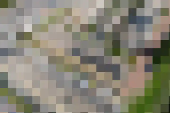 Sterkenburg 6 Alphen aan den Rijn thumbnail 44