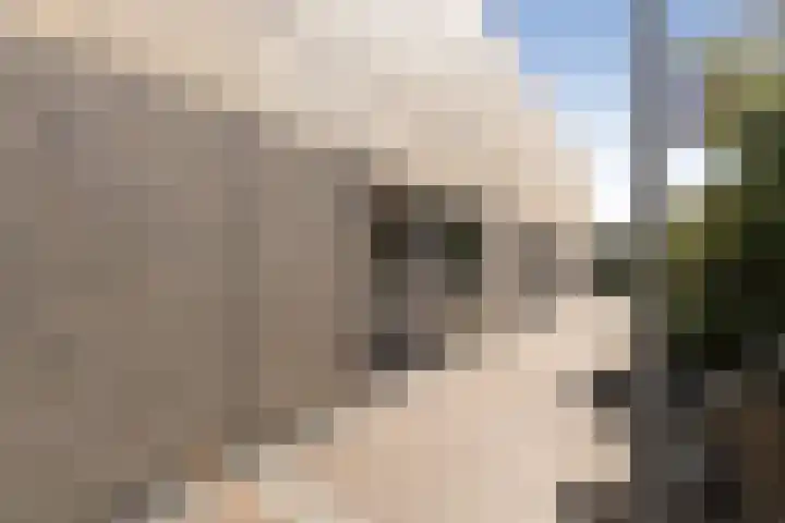 Sterkenburg 6 Alphen aan den Rijn thumbnail 5