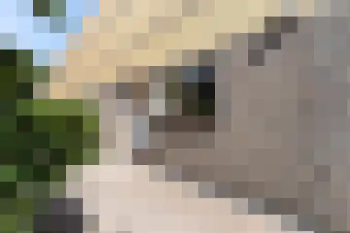 Sterkenburg 6 Alphen aan den Rijn thumbnail 7
