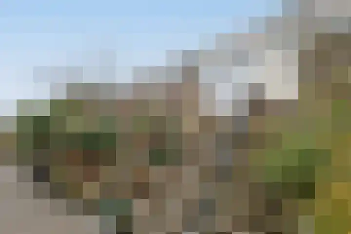 Sterkenburg 69 Alphen aan den Rijn thumbnail 4