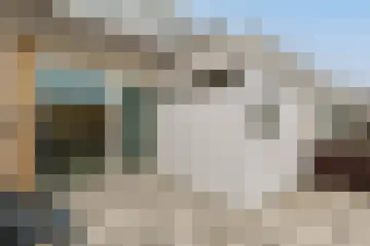 Sterkenburg 69 Alphen aan den Rijn thumbnail 6