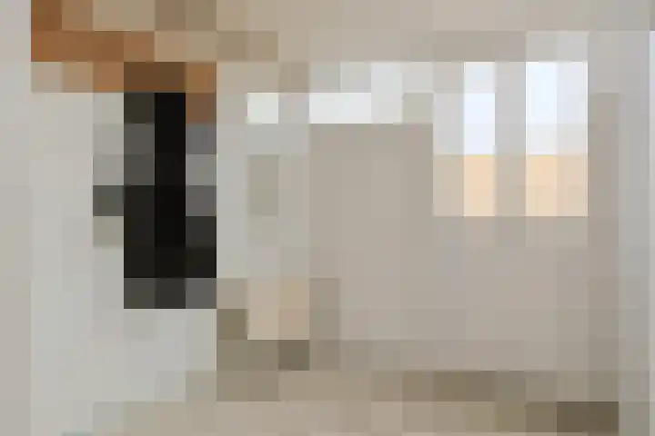Sterkenburg 69 Alphen aan den Rijn thumbnail 8