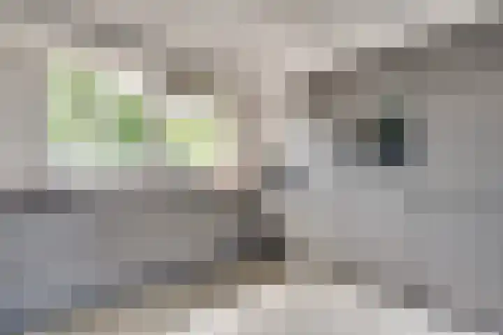 Sterkenburg 7 Eindhoven thumbnail 18